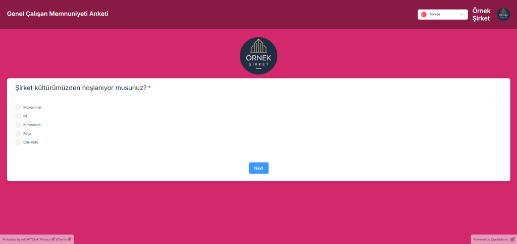 QuestMetric'te çalışan anketleri şablonu