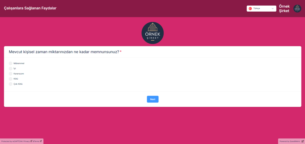 QuestMetric'te çalışanlara sağlanan faydalara ilişkin anket şablonu