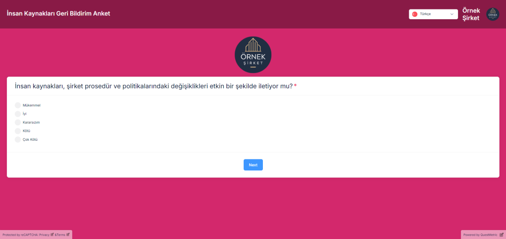 İnsan Kaynakları Anketleri