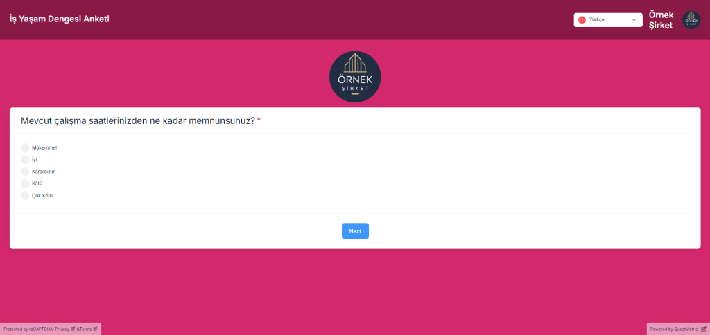 QuestMetric'te iş ve yaşam dengesi anketleri şablonu
