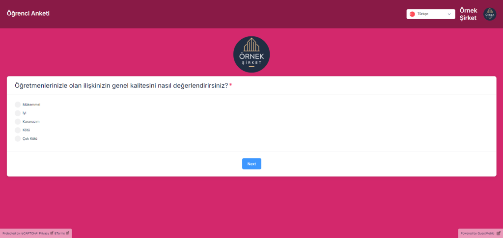 Kamu Sektörü Anketleri